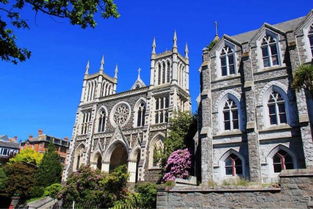 夢想照進現實 在新西蘭學習動漫技術開發，踏上成為下一個宮崎駿的旅程