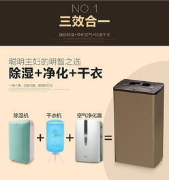 家電詳情 除濕機