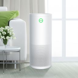 省錢又省力 家用空氣凈化器哪個牌子好？