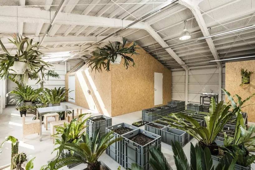 工廠改造為藝術家工作室_文化_網