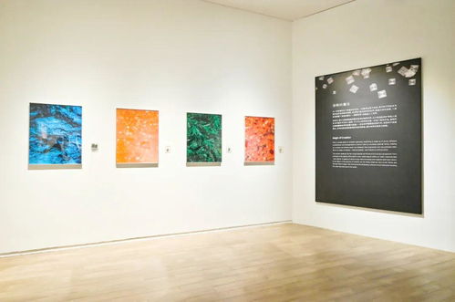 奇觀 科學(xué)藝術(shù)展在光明文化藝術(shù)中心美術(shù)館開幕